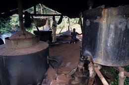 Alambic;-Archipel-des-Comores;-Artisanat;-Cuve;-Distillerie;-France;-Kaleidos;-Kaleidos-images;-La-parole-à-limage;-Laurent-Abad;-Mayotte;-Océan-Indien;-Parfumerie;-Stories-Pictures;-Travail;-Ylang-ylang